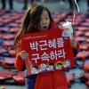 -‘박근혜 퇴진 7차 범국민행동’이 열린 12월 10일 오후 서울 광화문 광장에 놓인 세월호 희생자를 추모하는 304개의 구명조끼 앞에서 한 아이가 사진을 찍고 있다.