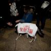 -2016년 마지막 날인 31일 오후 광화문광장에서 열린 박근혜 즉각퇴진을 위한 '송박영신' 10차 범국민행동의 날 촛불집회에서 시민들이 개를 어루만지고 있다. 